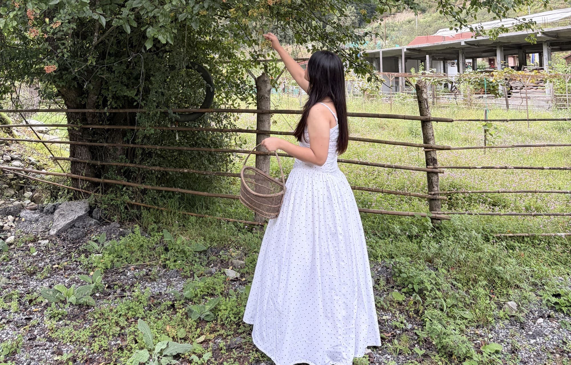 A model in a white polka-dot dress carrying a wicker basket under a fruit tree